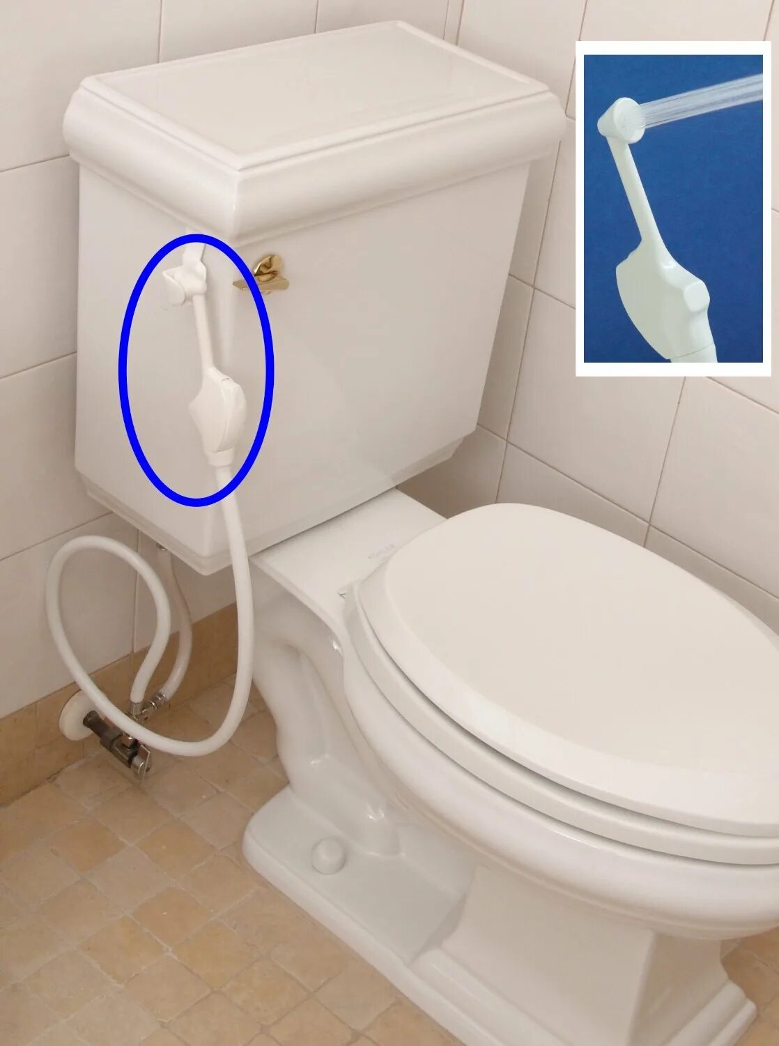 Подмываться ли после туалета. Унитаз с подмыванием для инвалидов 2022. Унитаз со шлангом для подмывания.