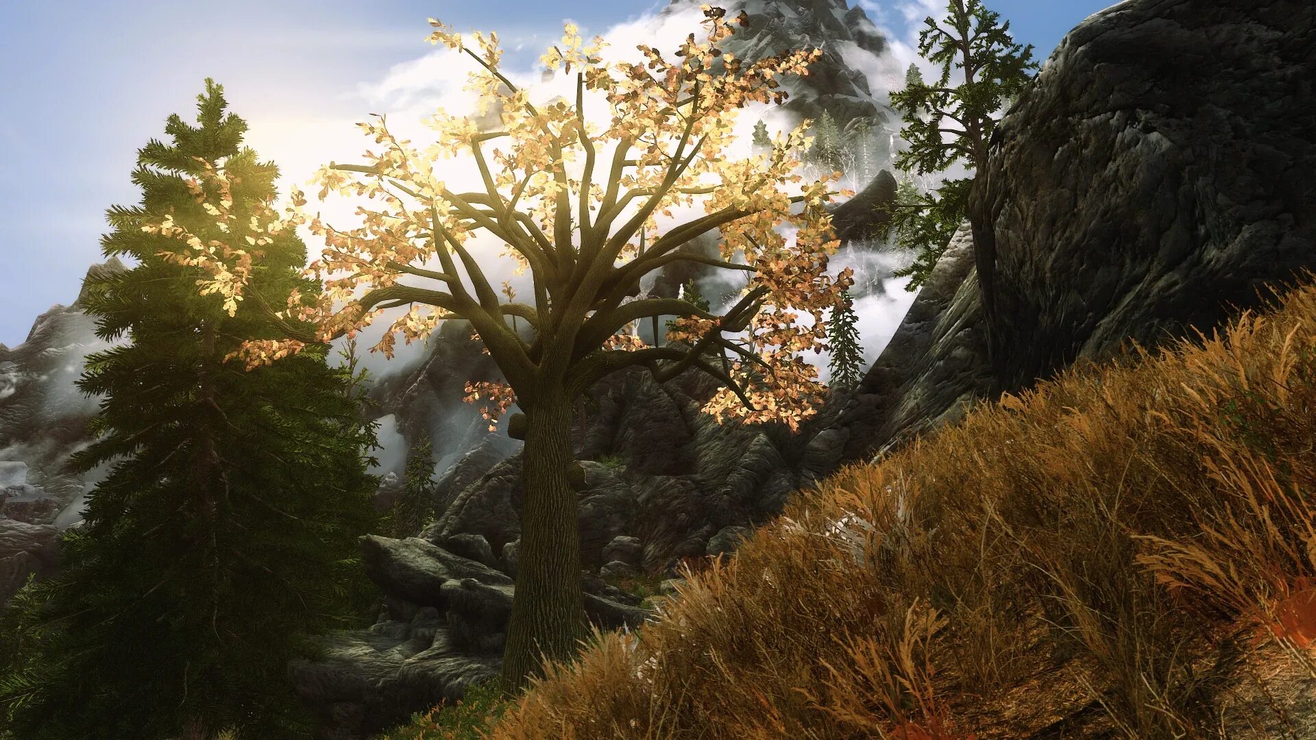 3д деревья скайрим се. Скайрим 3. Скайрим Ле 3d Trees and Plants. Скайрим дерево. Trees skyrim