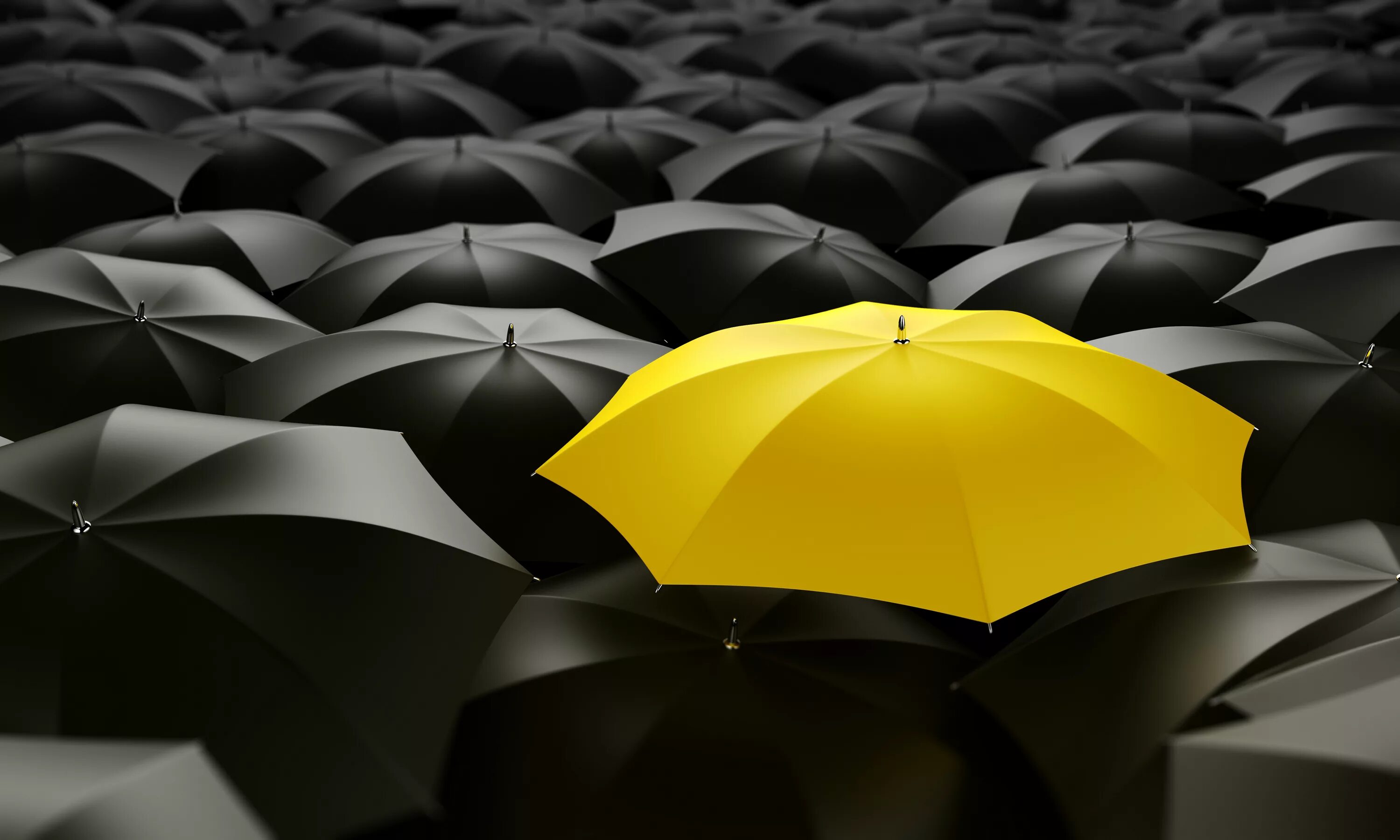 Different unique. Зонтик. Зонт желтый. Зонтик черно желтый. Желтый зонт на черном фоне.