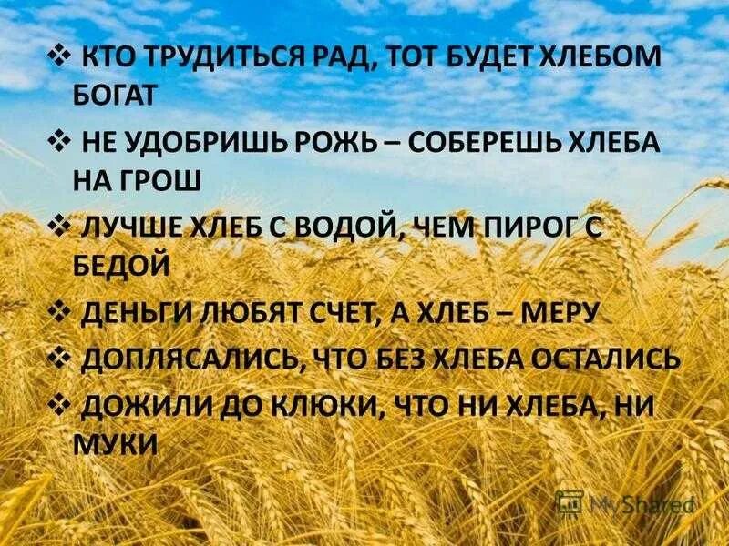 Пословица слову хлеб. Пословицы и поговорки о хлебе. Поговорки о хлебе. Пословицы про хлеб для детей. Пословицы и поговорки про хлеб для детей.