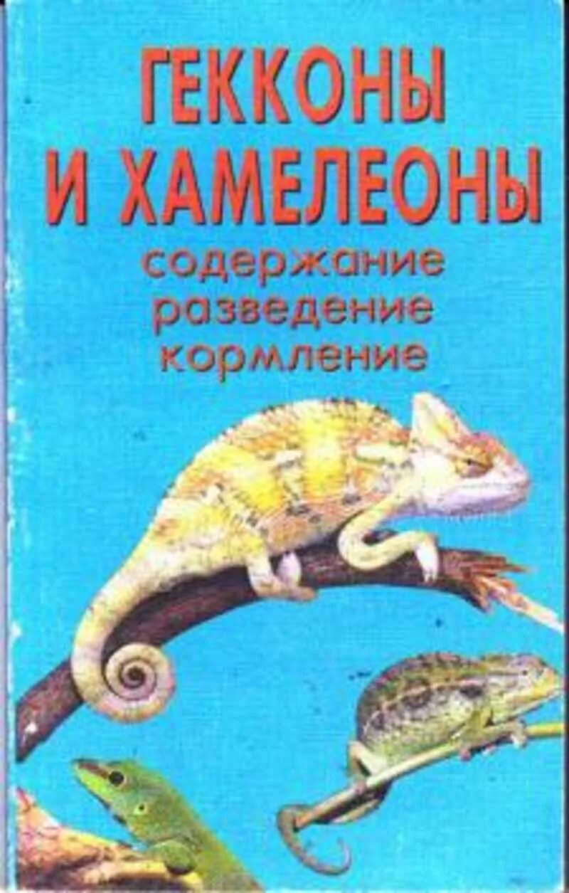 Книга о гекконах. Книга "хамелеон". Гекконы и хамелеоны книга. Книга про хамелеонов.