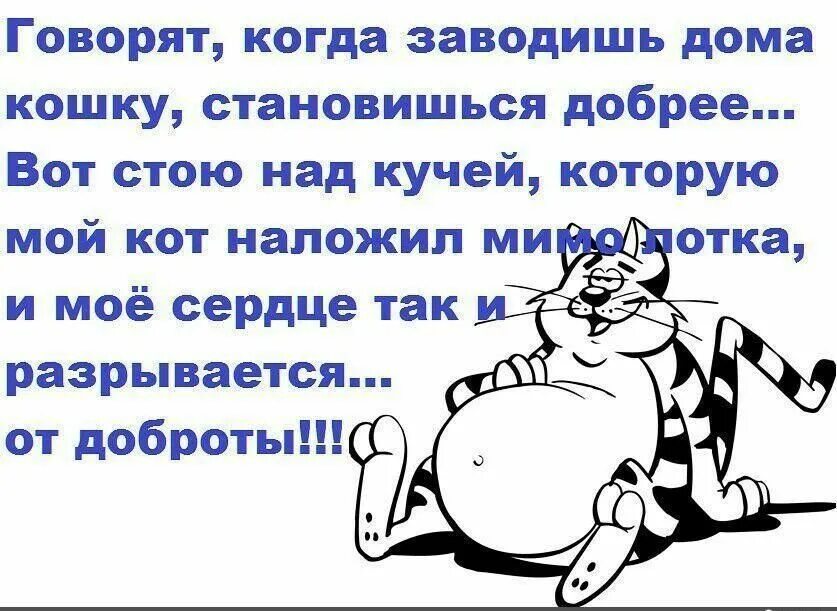 Прикол про добро. Анекдоты. Интересный анекдот для поднятия настроения. Приколы про плохое настроение. Добрые анекдоты для поднятия настроения.