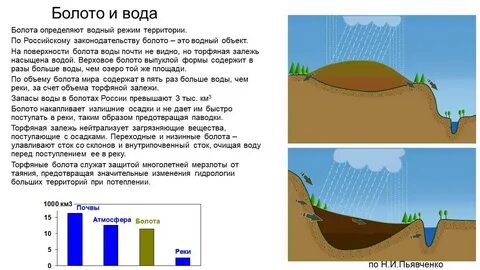 Болото это естественное искусственное или пресное