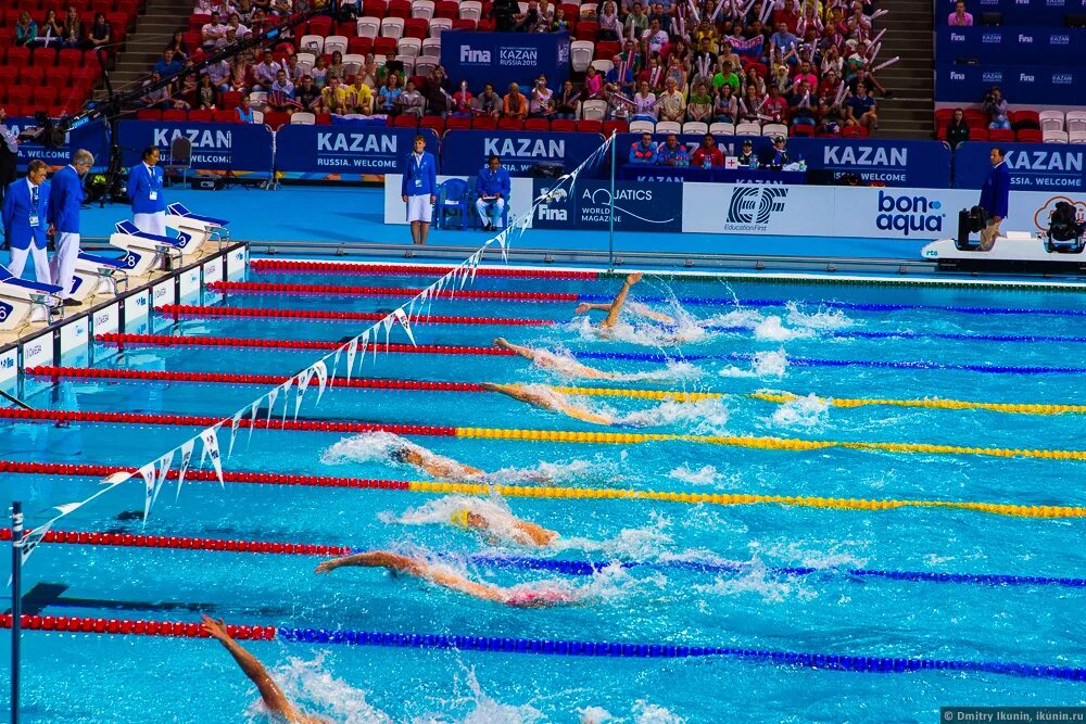 чемпионат мира по плаванию в ластах томск. спорт плавание чемпионат. чемпионат мира по подводному плаванию в томске 2021 руководитель. чемпионат мира по подводному плаванию в томске 2021. водное спортивное состязание.