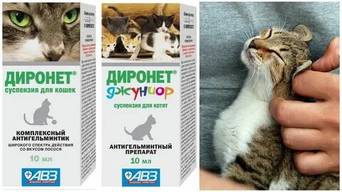 Глистогонное для кошек суспензия