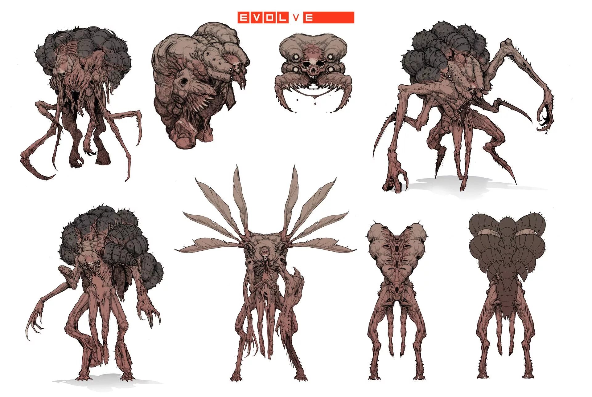 Zoonomaly все монстры. Evolve концепты монстров. Евольве концепт арт. Evolve монстры концепт арт.