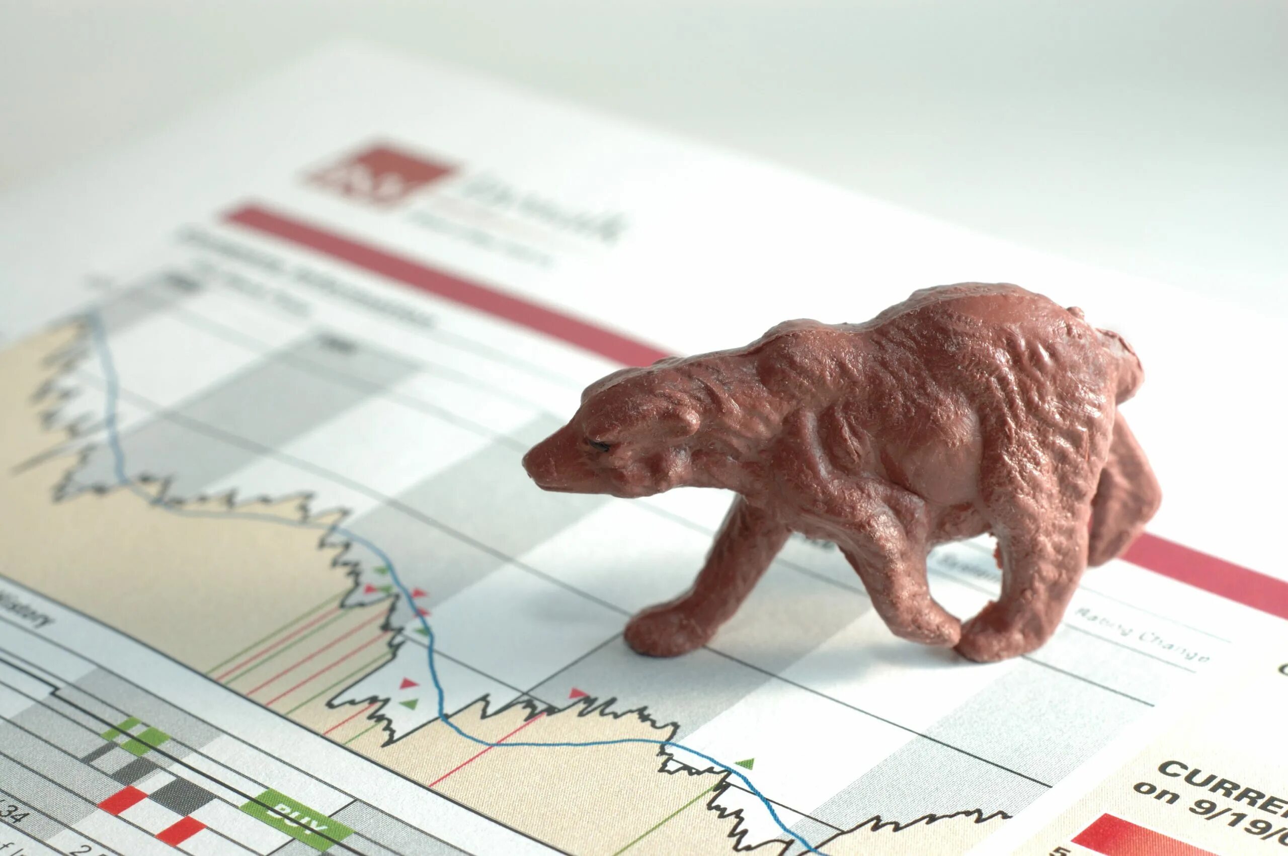 Bear market mem. Фондовый рынок картинки. Медведь фондовый рынок. Bear market. Медведь биржа.