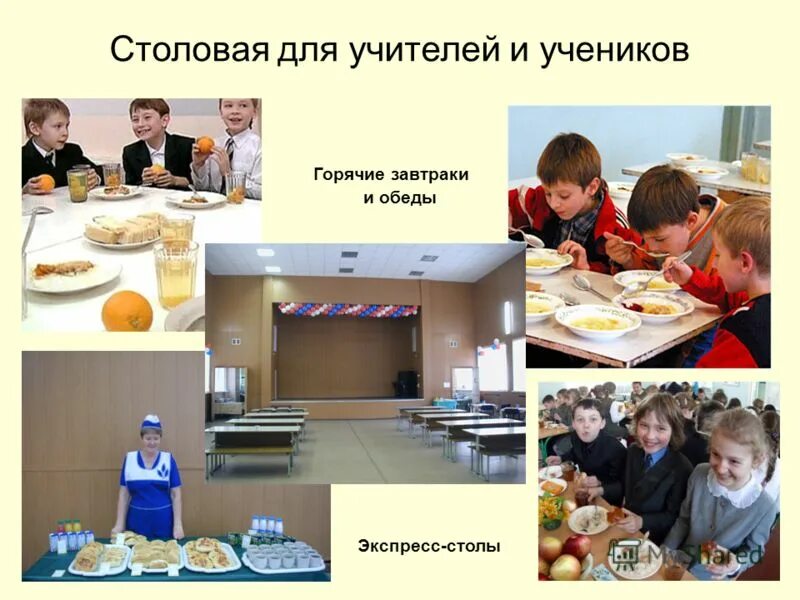 Организация питания в учебных