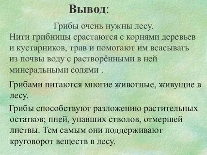 Грибы препятствуют разложению растительных остатков в лесу