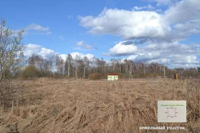 цена одной сотки в вырице. деревня борисово гатчинский район. участок под гатчиной. вырица ул. лукаши садоводство рассвет.