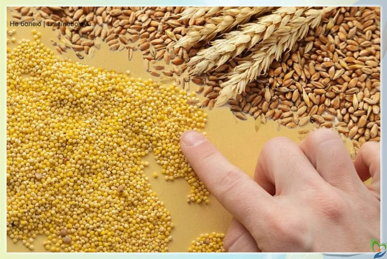 Пшенка крупа. Пшено крупа. 2 5 пшена. Пшенка пшонка. 2 5 пшена.