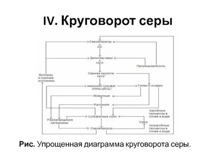 Схема круговорота серы в природе
