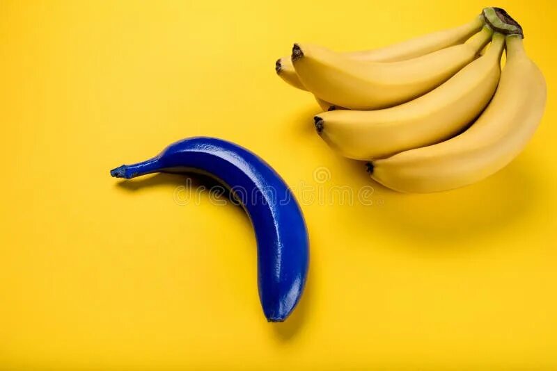 Блю банан. Блю банан. Blue banana жимолость. Жимолость голубой банан. Blue banana компания.