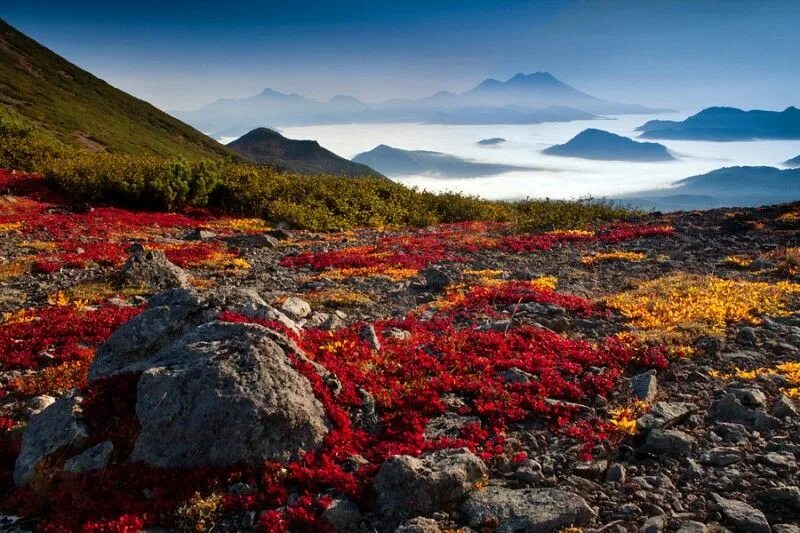 Fotografie: Natura neatinsa din Kamceatka, Rusia Rusia rezervatie naturala poze 