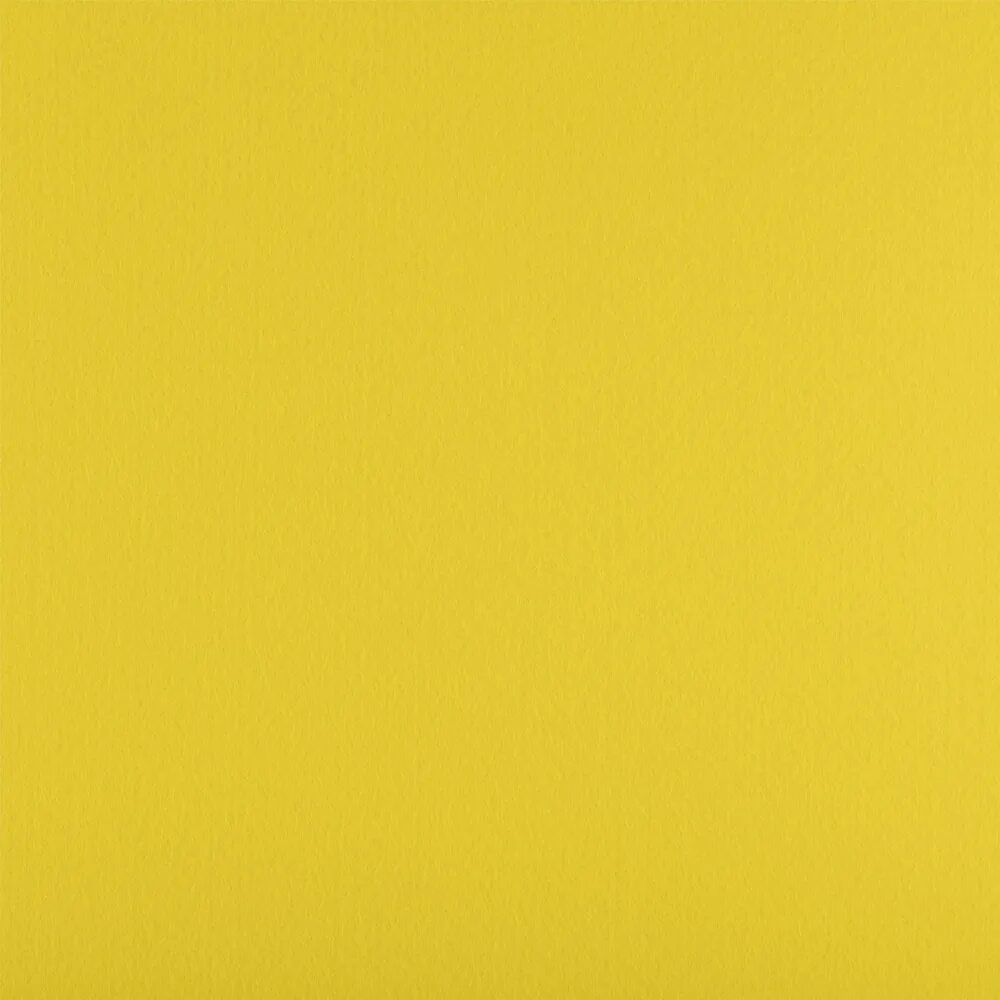 Примула оранжевая. Неоновый желтый цвет. Азия цвет желтый. Азия цвет желтый. Ранункулюс (лютик) азиатский йеллоу.