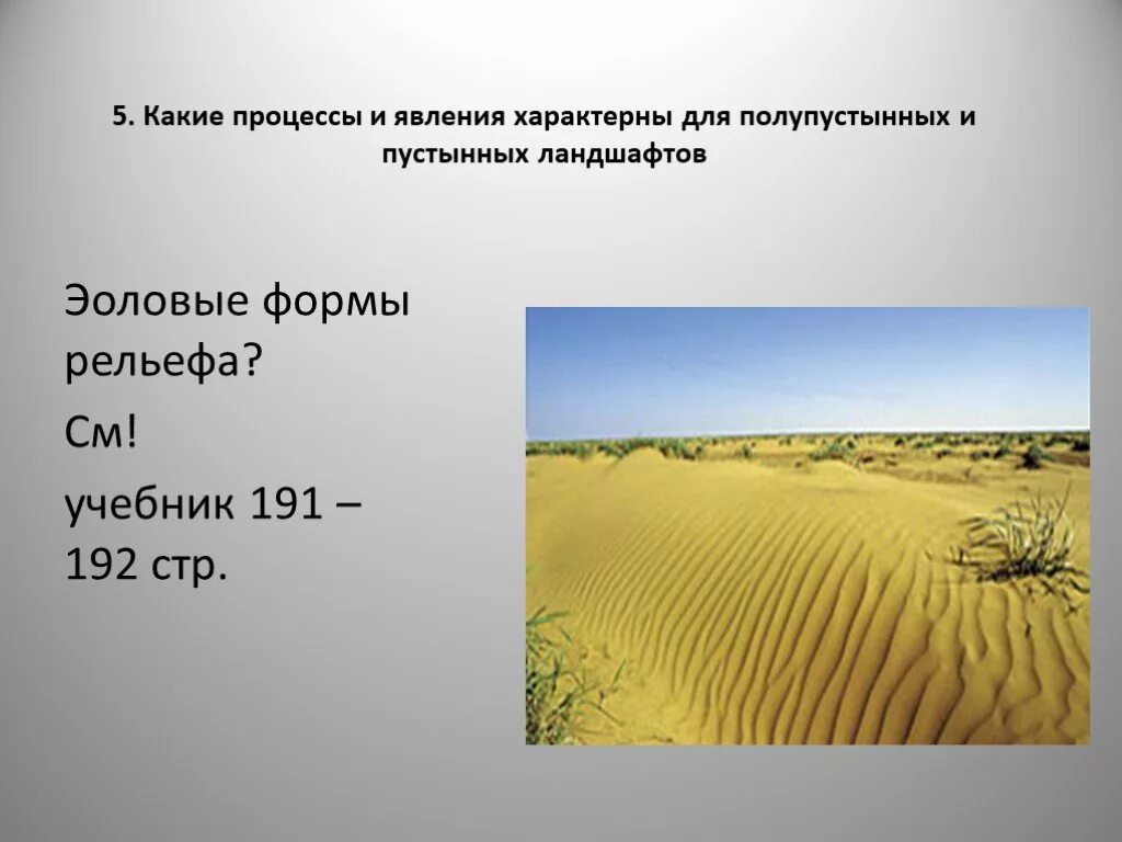 Рельеф пустыни и полупустыни. Рельеф пустыни и полупустыни в России. Рельеф полупустынь. Формы рельефа пустынь и полупустынь. Особенности почв полупустынь