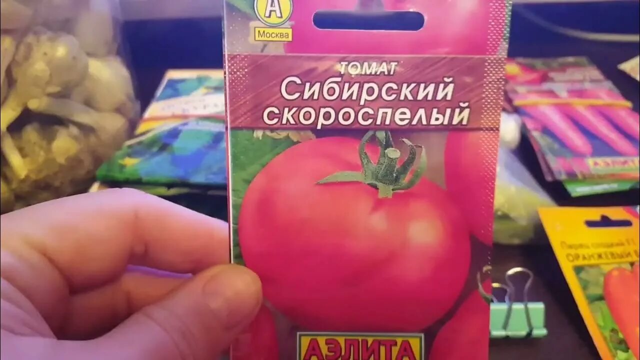 Семя 2025. Семя 2025
