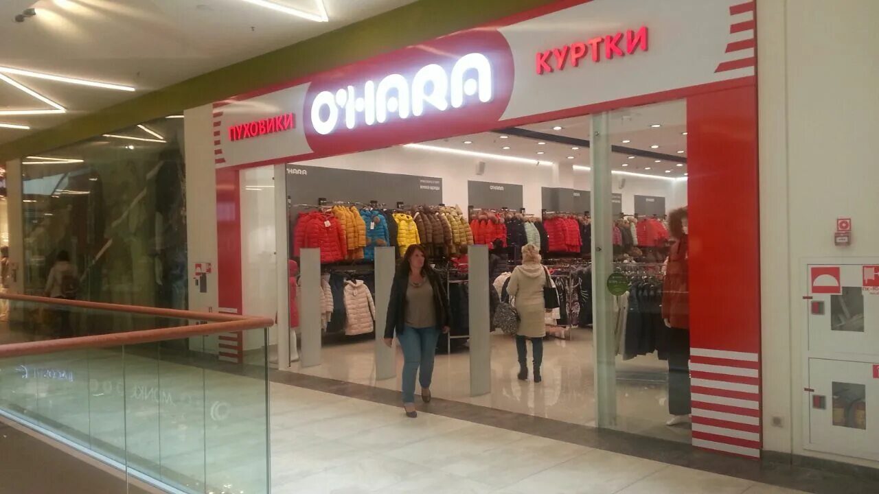 Охара чита