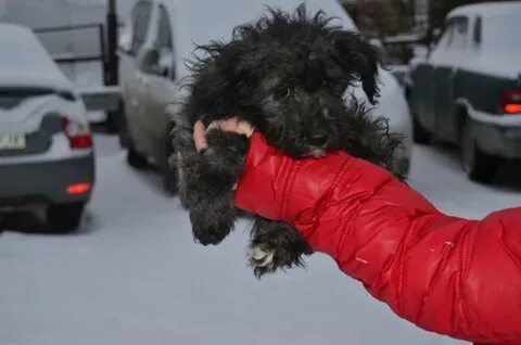 Совсем без
