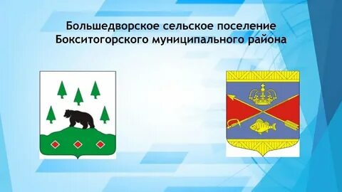 Бокситогорское сельское поселение