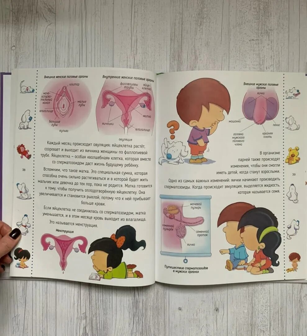 Книжка откуда я взялся. Откуда берут книги. Откуда берутся дети объяснение для детей. Откуда я взялся. Книжка откуда я взялся.