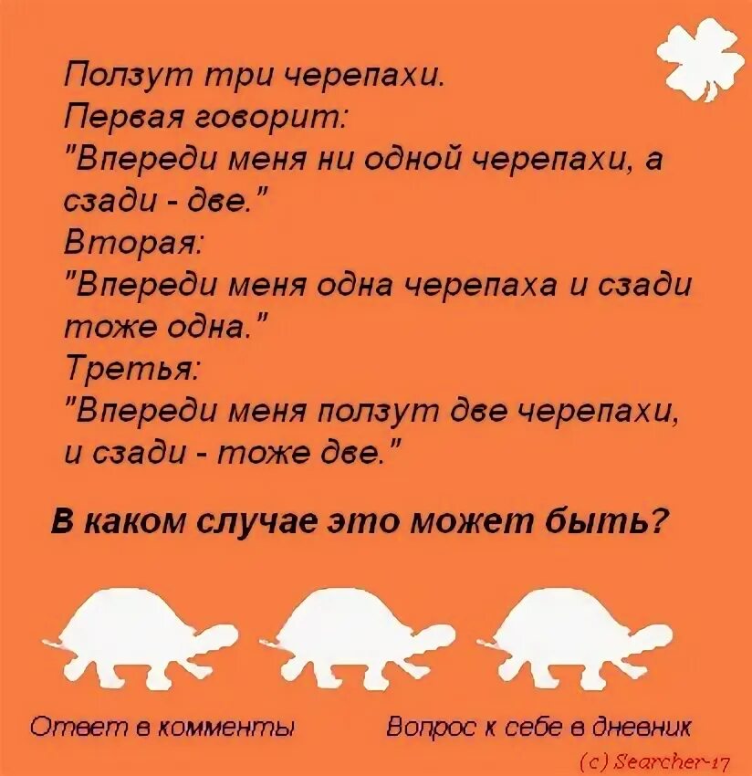 Скажи 1 скажи 2 скажи 3. Ползут три черепахи. Ползут три черепахи загадка и ответ. Загадка ползут 3 черепахи. Загадка о трех черепахах.