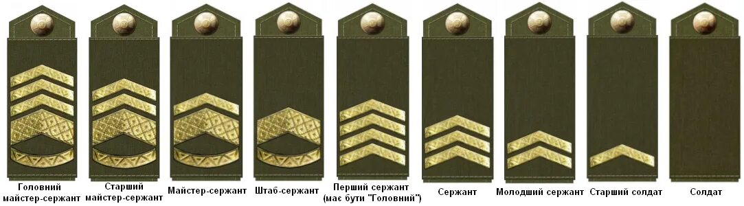 Ответы : Как получают сержантские звания в армии