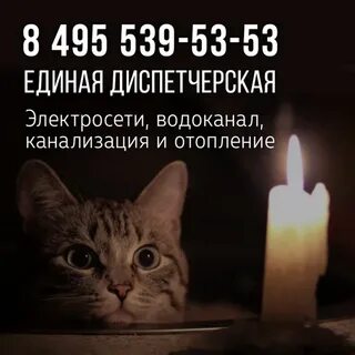 8 495 539 53 53 диспетчерская