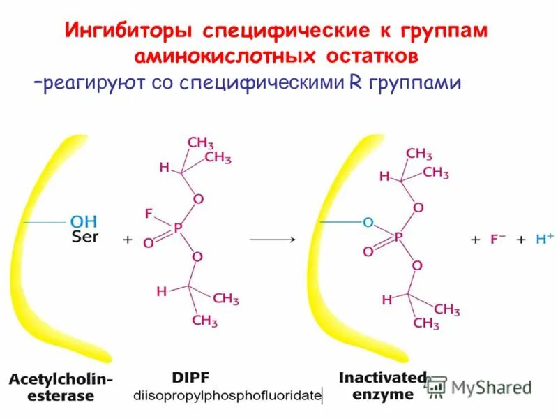 Специфические ингибиторы