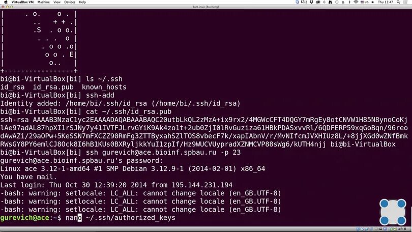 Ssh rsa pub