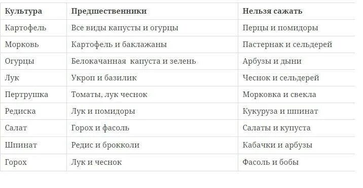 После чего сажать картофель в открытый. Можно ли сажать морковь после капусты на следующий год. после каких культур сажать морковь. после чего сажать морковь на следующий год. после чего можно сажать морковь на следующий год.