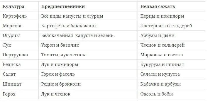 Что садить после капусты на следующий год. Можно ли сажать морковь после капусты на следующий год. После каких культур сажать морковь. После чего сажать морковь на следующий год. После чего можно сажать морковь на следующий год.