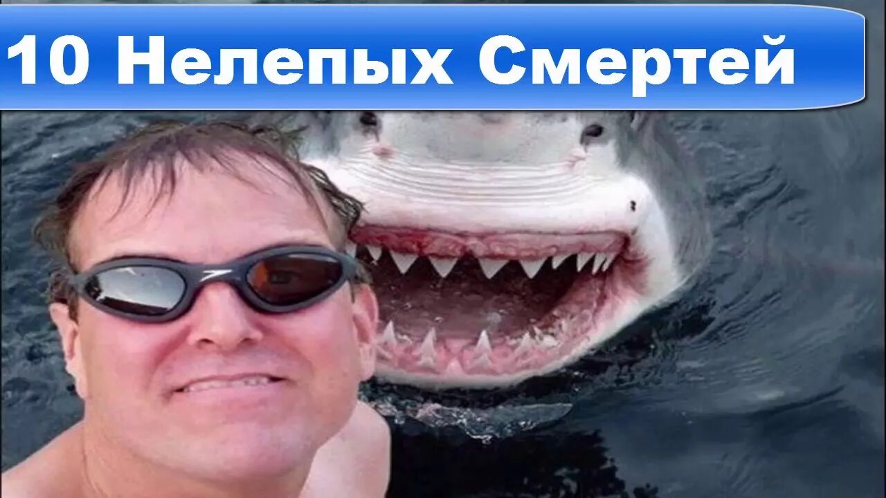 10 самых нелепых. Топ самых нелепых смертей. самая нелепая смерть в мире.