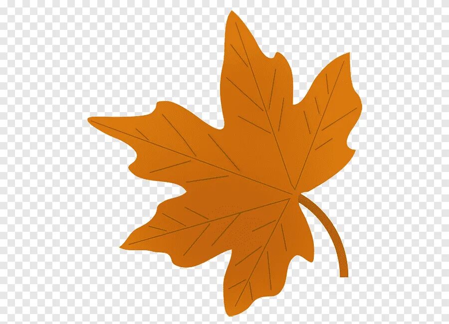 Листочки деревьев. Осенние листья картинки. Осенние листья рисунок. Кленовый лист.