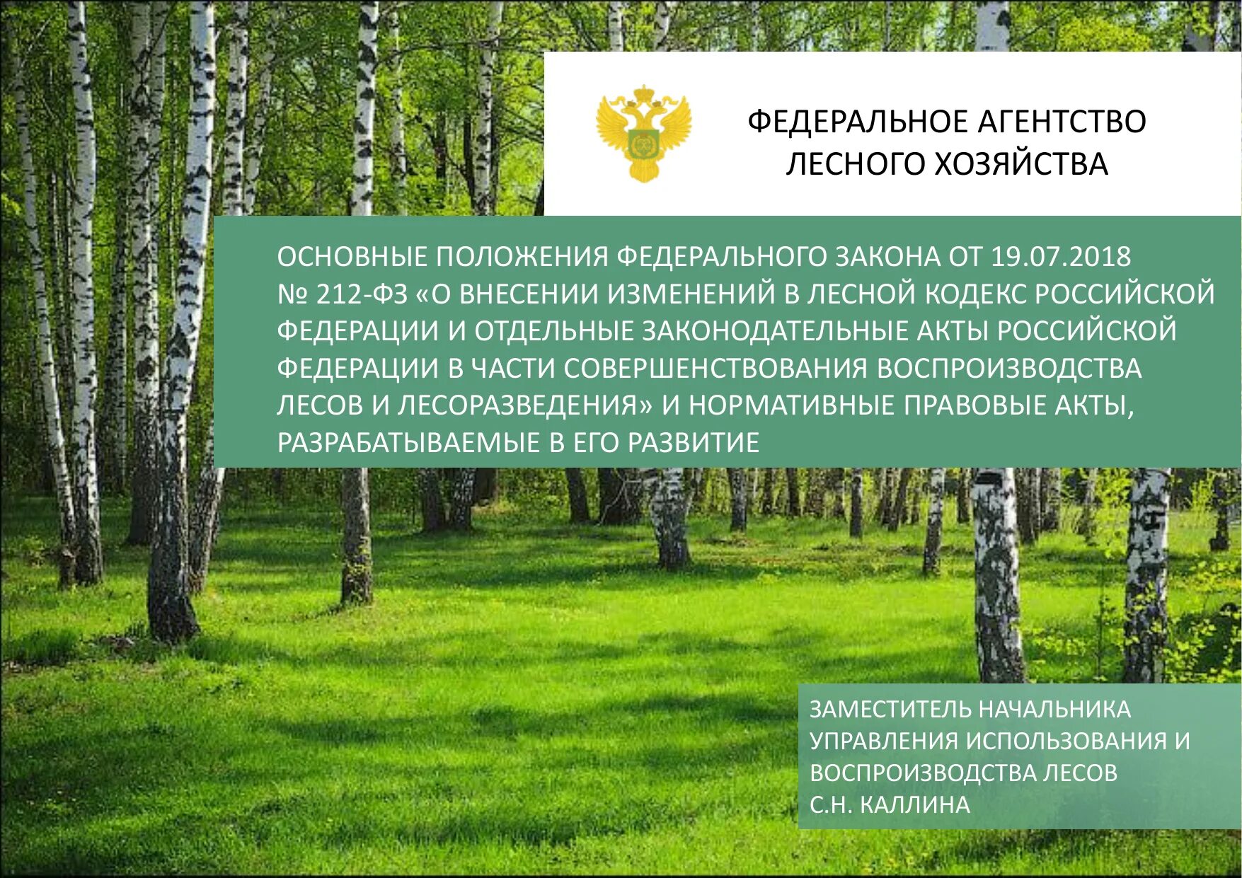 Лесное законодательство. Основные положения лесного кодекса. «О внесении изменений в Лесной кодекс. Объект лесного законодательства.