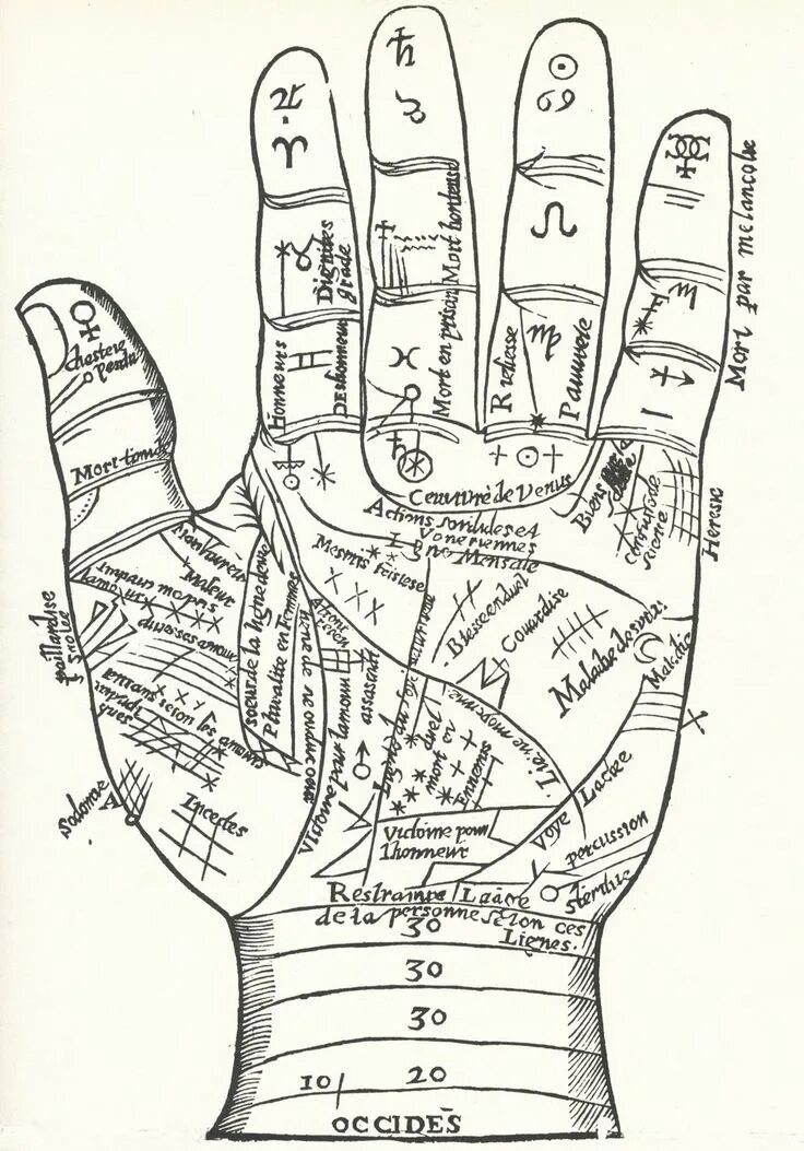 По рукам 10 букв. Рука хиромантия схема. Схема линий для хиромантии. Хиромантия линии на руке. Хиромантия схема линий на руке.