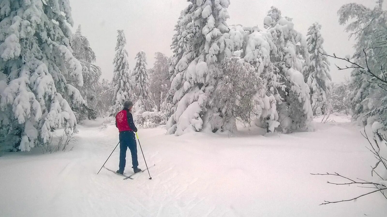 Никулин вицин моргунов на лыжах. Приятного отдыха зимой. Прочитайте текст и выполните задания. Зимним утром я пошел на лыжах. Сочинение зимняя прогулка.