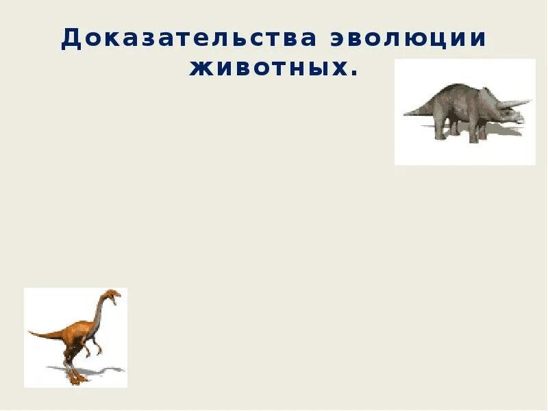 Эволюционные доказательства животных. Сообщение на тему доказательства эволюции животных 7 класс динозавры.