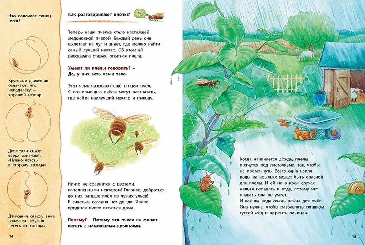 Рассказы в этой книге интересны и познавательны. Где живет Пчелка книга. Как живёт пчёлка Познавательные истории. Как живет Пчелка. Иллюстрация в детской энциклопедии.