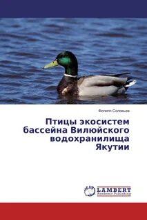 Экосистемы птицы