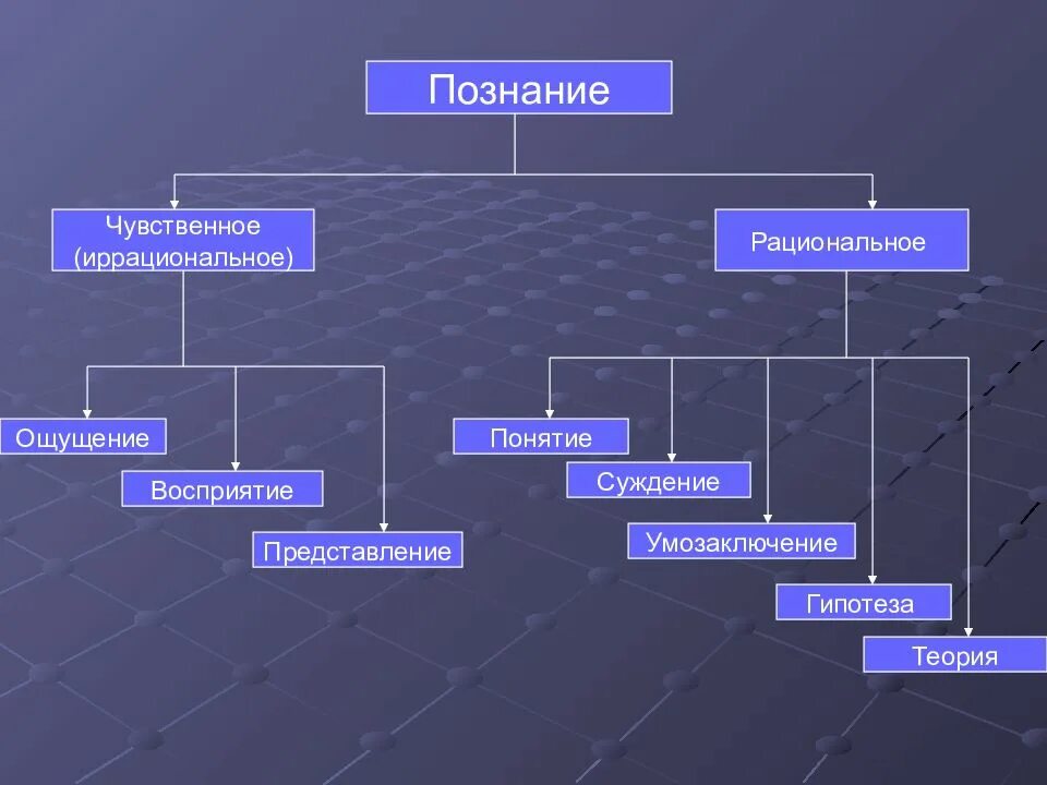 Ощущение и представление являются. Ощущение восприятие представление понятие суждение умозаключение. ощущение восприятие представление. познание ощущение восприятие представление. ощущение представление суждение восприятие форма познания.