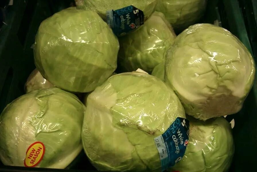 упаковка капусты. вакуумный упаковщик капусты. капуста пекинская вакуумированная. упаковка капусты. капуста в вакуумной упаковке.