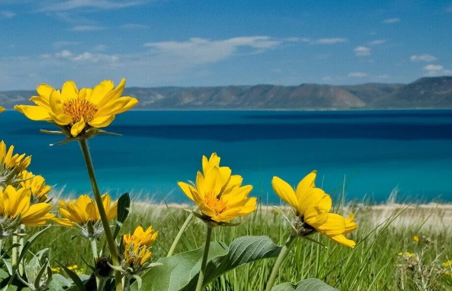 лучше нет красоты чем пописать с высоты. лучше нет на свете красоты.