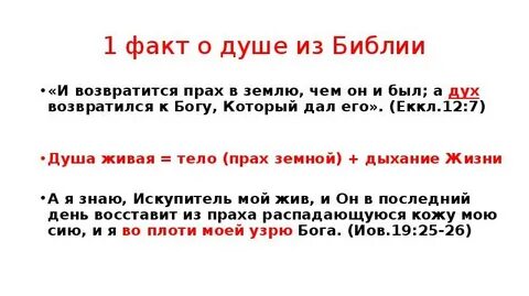 Прах праху земле