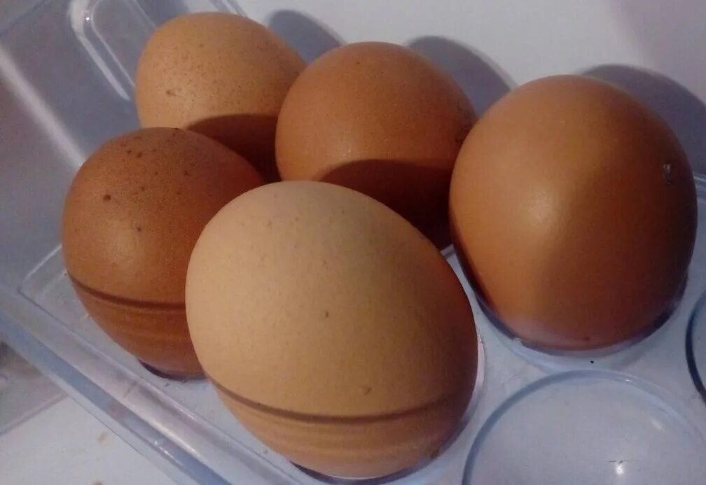 5 Яиц. 6 Яиц. Яйцо 5 шт. Яйца птиц Ивановской области.