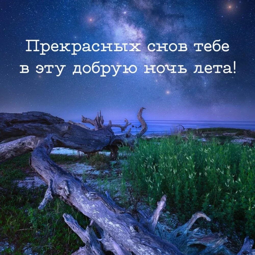 Доброй летней ночи. Лето ночи. Спокойной ночи луна. Прекрасная ночь. Яркая луна.