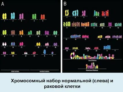 Генетика 1 вариант