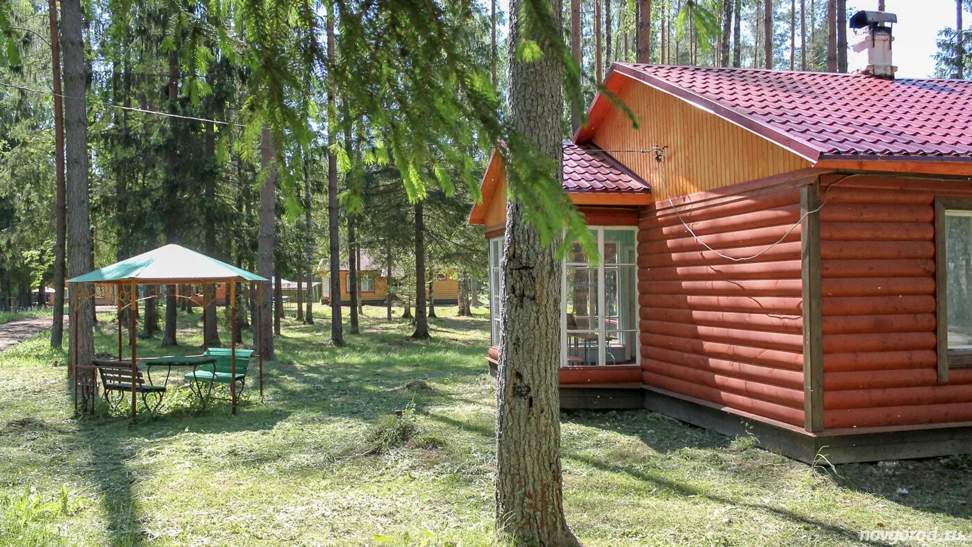 Великий дол. Лагерь Былина Новгородская область. Детский лагерь Былина Великий Новгород. Лагерь Былина Новгородская.