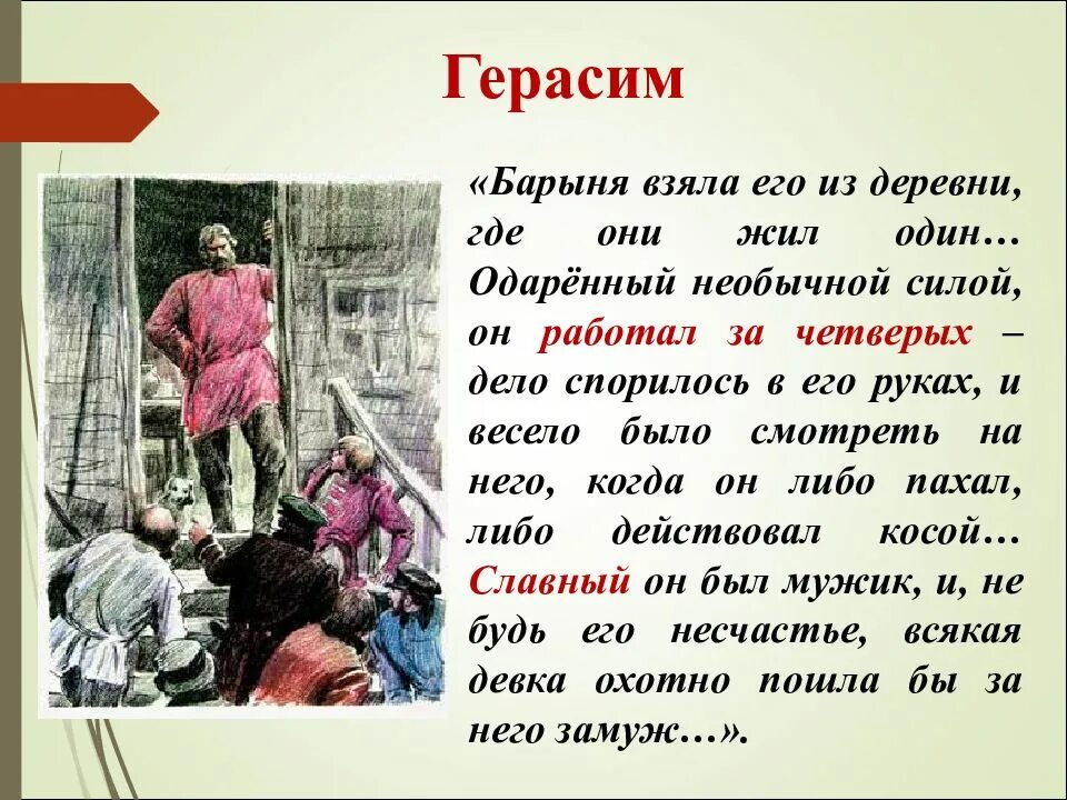 Быть человеком описание. Рассказ о Герасиме. Сочинение про Герасима. Рассказ о Герасиме из Муму 5 класс. Муму презентация.