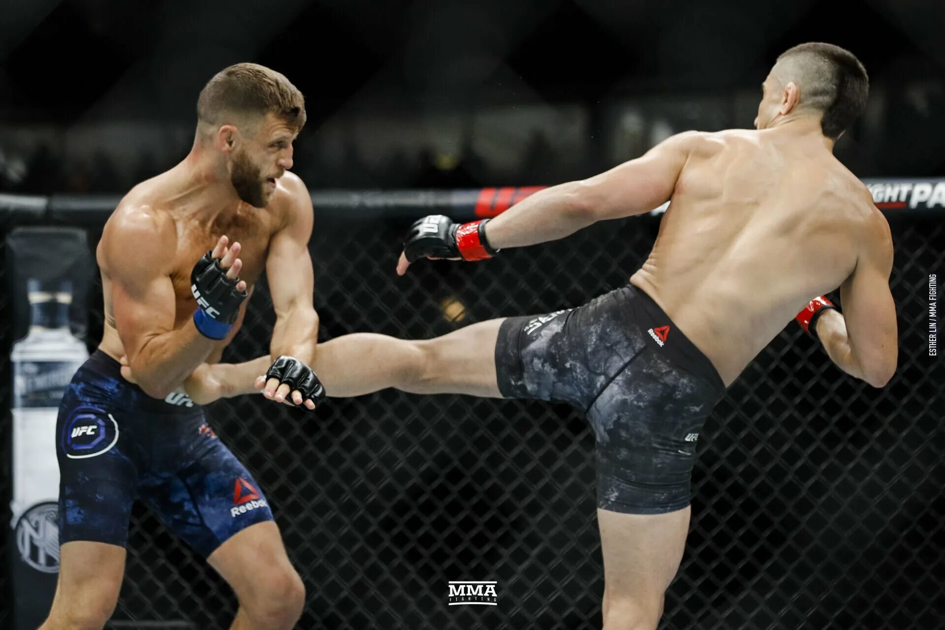 Смешанные единоборства ufc трансляция
